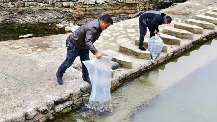 益阳安化烟草：云河山村有乡烟，绘就振兴新画卷