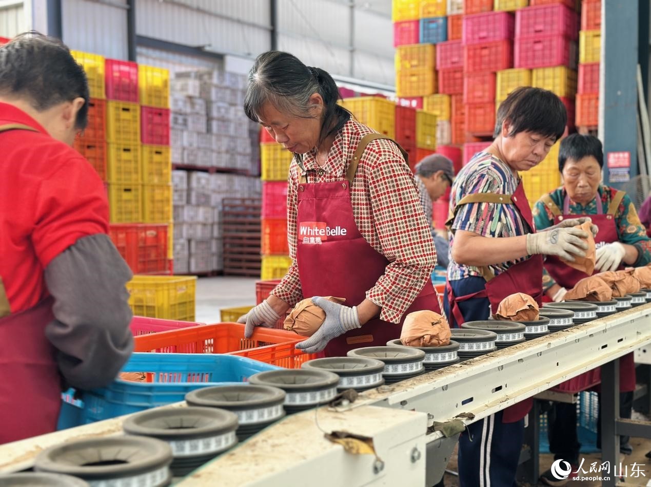 行进中国｜梨乡“金果”链出甜蜜产业