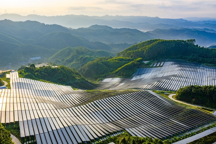 中国经济信心说丨消费添“绿”，产业向“新”