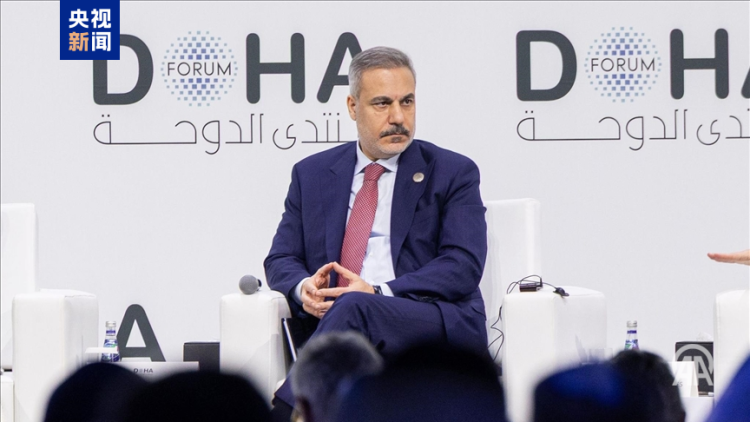 土耳其外长称相关方正就组建加沙国际稳定部队展开磋商