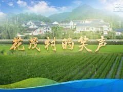 【讲习所·追光的你】花茂村的笑声_fororder_封面图-横