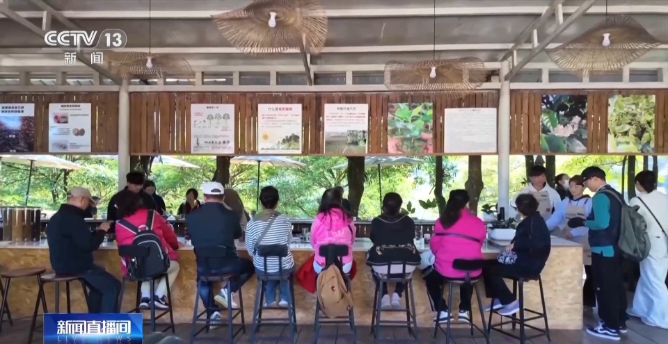 视频丨一粒豆一颗柑 中国味道饮品里藏着“绿色致富密码”