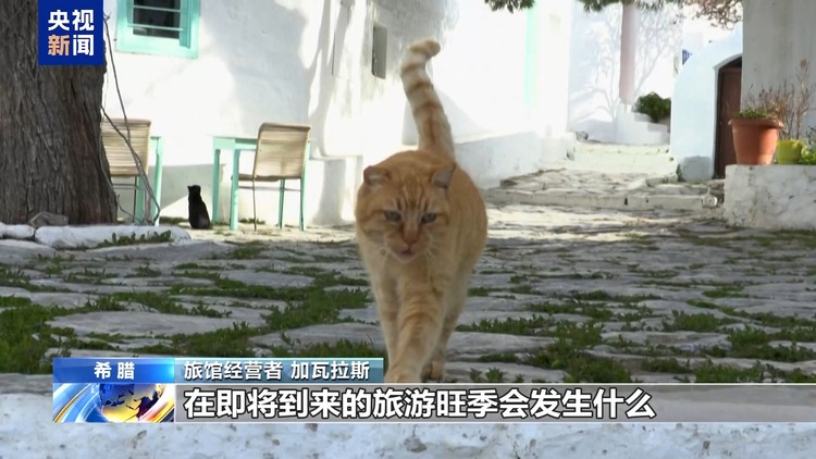 希腊圣托里尼岛附近地震活动频率呈相对下降趋势