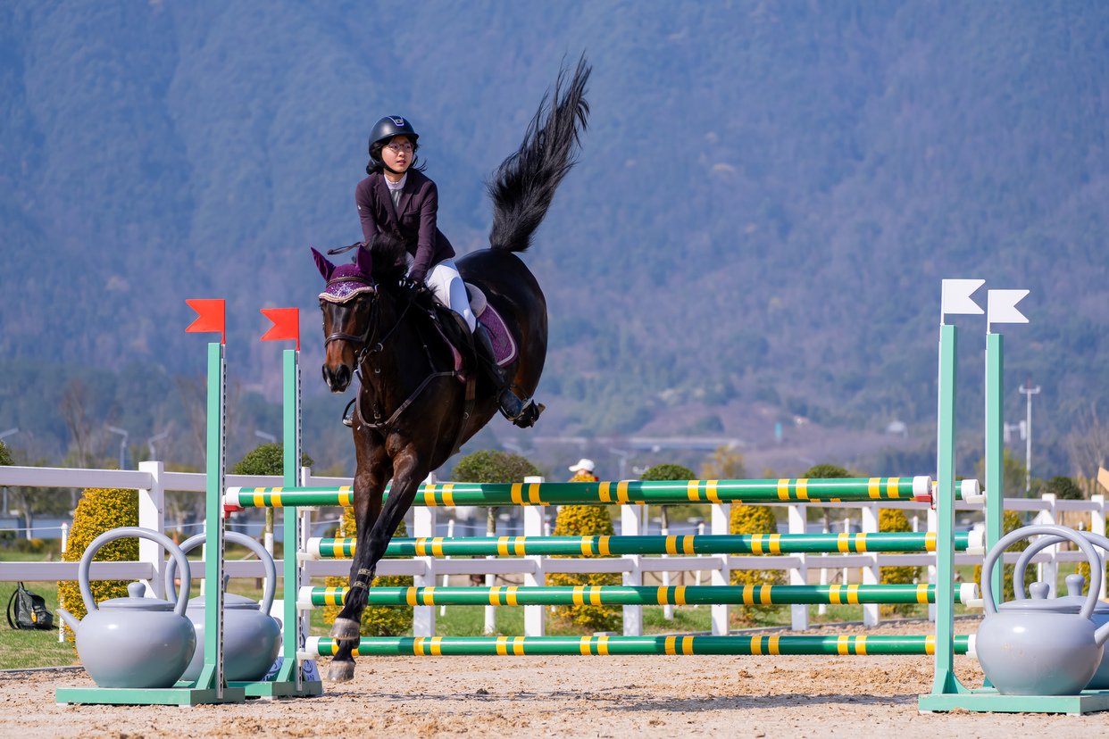 2025 Yangtze River Delta Equestrian League (Tonglu) Officially Opens_fororder_o_1il89tcsj116i17ri12l310b7133ka