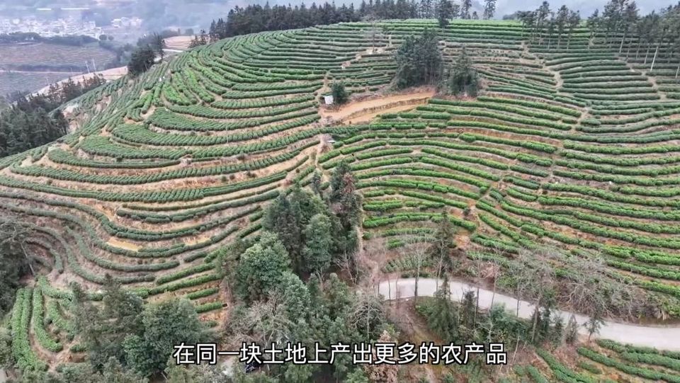 新华视点|产业“破题” 绘就振兴“答卷”