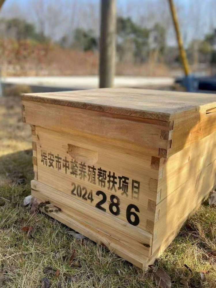 春日甜蜜开启！浙江首单“采蜜权”面向全国开拍_fororder_1905189251553501186_1280px