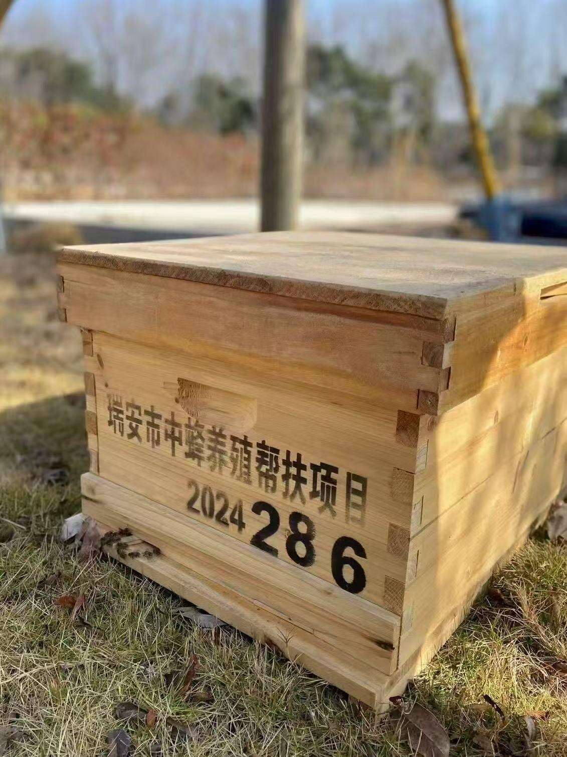 春日甜蜜开启！浙江首单“采蜜权”面向全国开拍_fororder_1905189251553501186_1280px