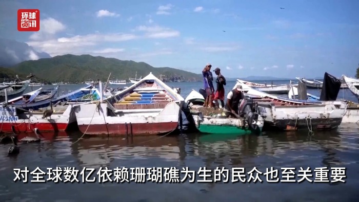 听鉴世界｜造礁珊瑚灭绝风险攀升 全球保护迫在眉睫