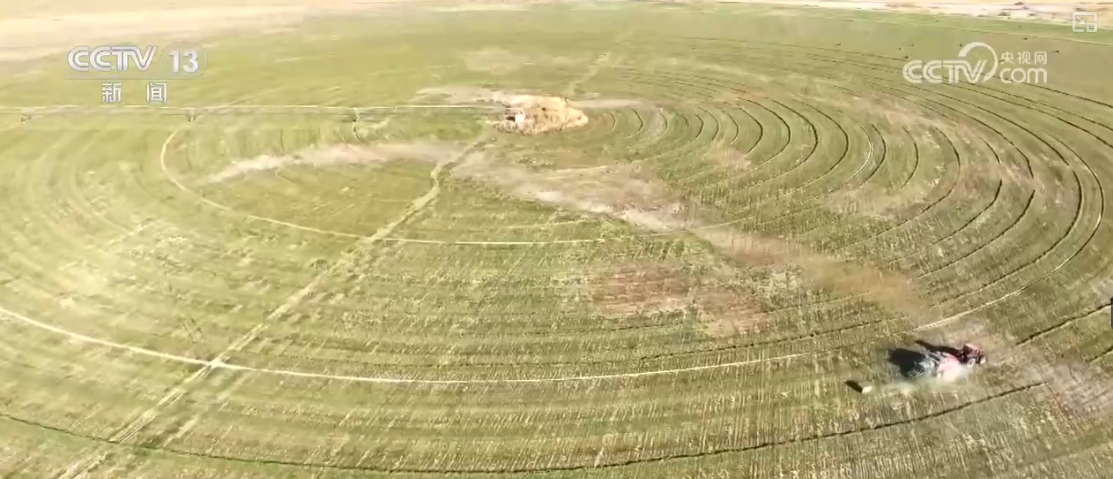 兼具治理与发展!防沙治沙新奇迹接续不绝 “锁”沙逐绿拓宽“绿色防线”