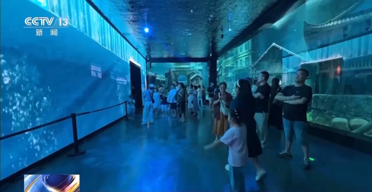 年中经济观察丨来“两坝一峡”坐“水上电梯” 体验“轻舟已过万重山”