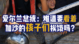 视频丨爱尔兰总统痛斥加沙悲剧：难道要看着孩子们挨饿