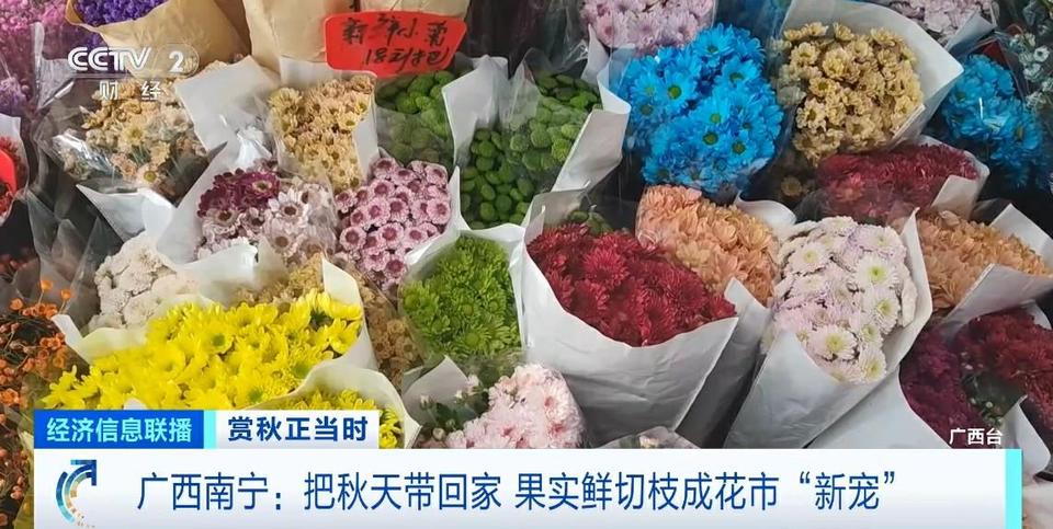 把满满氛围感带回家 这个秋天 果实鲜切枝成花市“新宠”
