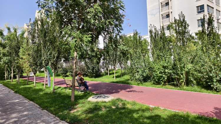 金昌金川区：南京路带状公园建成投用 城市绿廊串起民生幸福_fororder_1