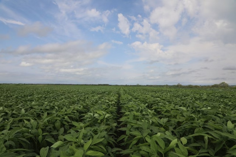 呼伦贝尔：沃野流金五谷丰_fororder_学习_1