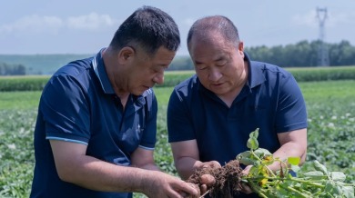 沃土兴农固根基 田畴织锦守粮安——呼伦贝尔全力守住良田沃土筑牢粮食安全根基