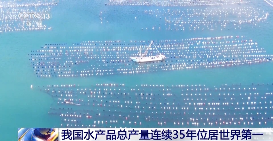 我国水产品总产量连续35年位居世界第一