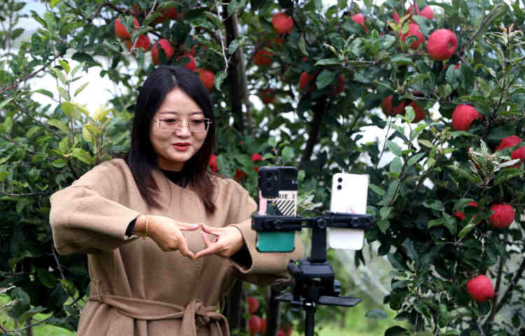 天水清水：直播架到田间头 清水农产产销旺_fororder_IMG_0455_副本