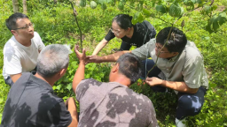 湖南城步 “引育留用”齐发力 激活苗乡人才新动能