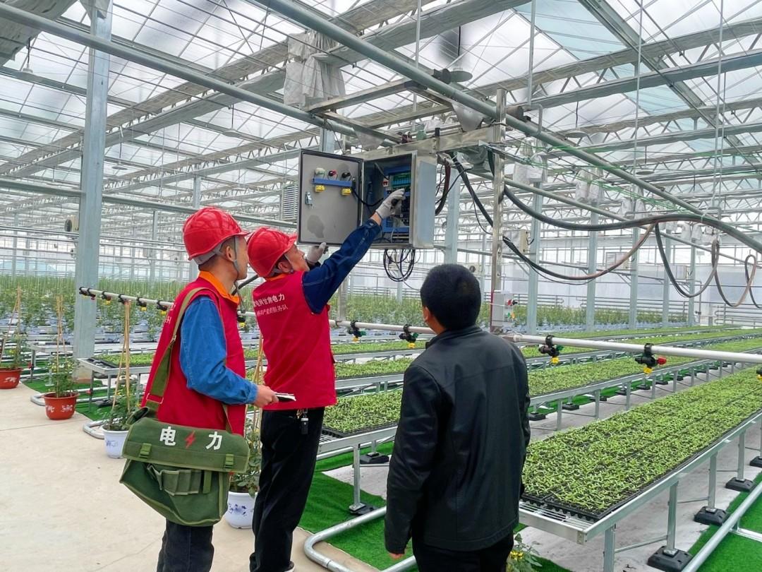 国网张掖山丹县供电公司“满格电”护航“菜篮子”丰收增产_fororder_微信图片_20250425110745