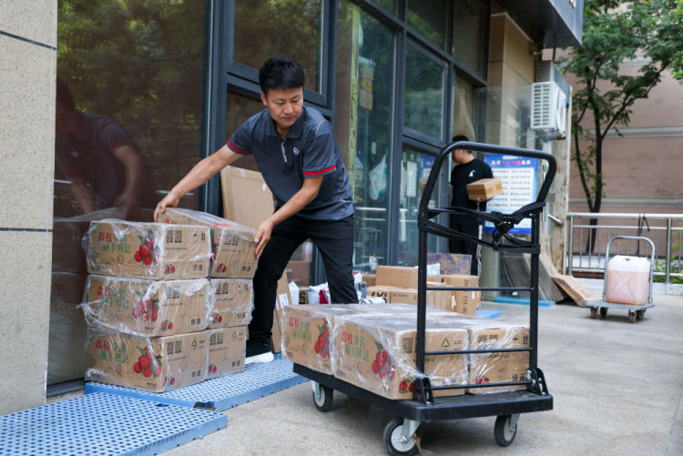 诗意中国丨从岭南到长安——荔枝的十二时辰