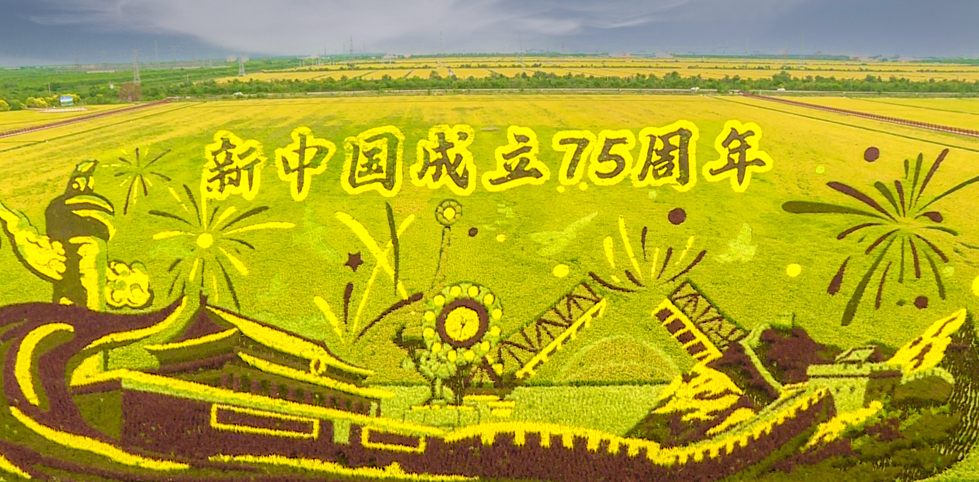 最美的秋 ▏天津西青好“丰”景