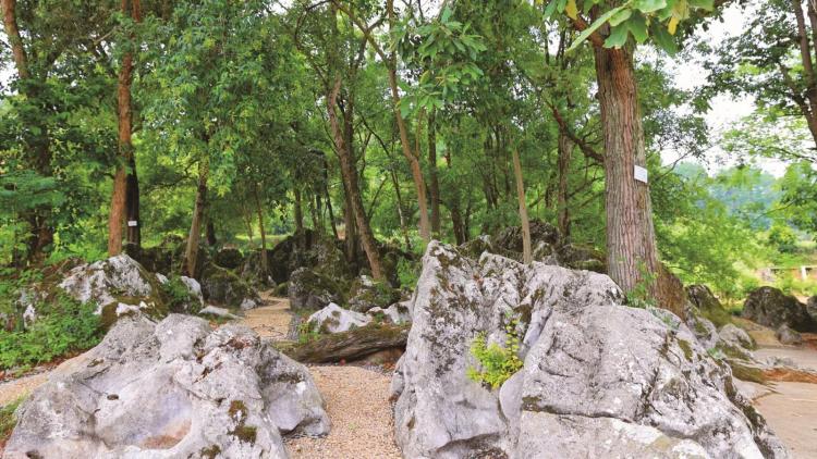 留住绿水青山 造出金山银山——隆回县生态“马拉松”跑出现代文明新标杆_fororder_51639_e38c2b04-6bb3-4a48-aeed-23e91caeed3c_l