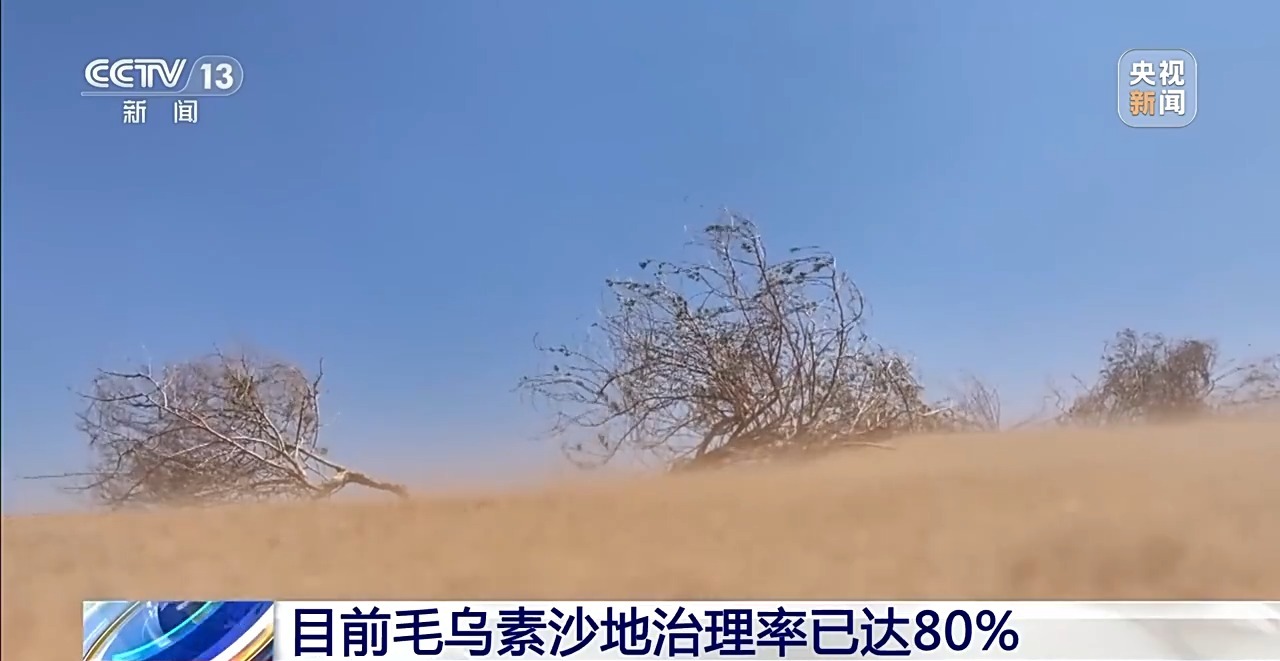 毛乌素沙地治理率已达80% 下一个目标：100%！