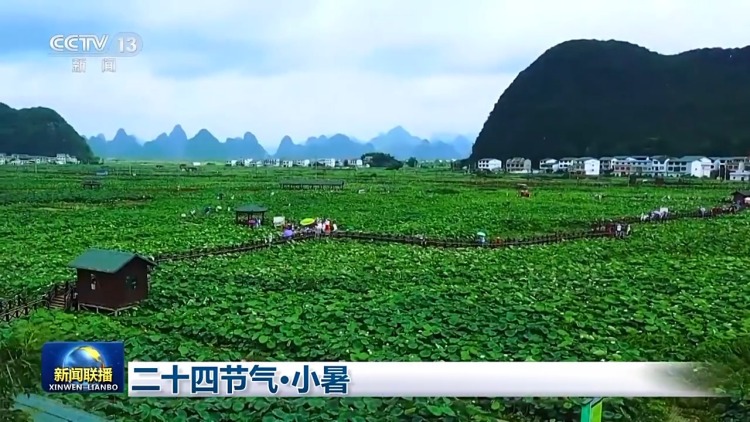 文化中国行丨二十四节气·小暑 感受节气里的自然律动