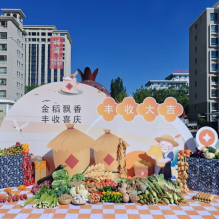 鄂尔多斯市康巴什区：“兴旺人”的日子似“火红的石榴”