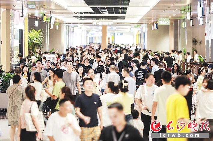 汽车领衔多业联动 长沙消费全域增长