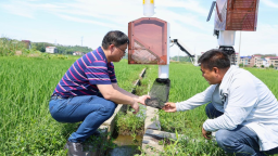远程“问诊”田间地头 湖南新邵县护航早稻增产丰收