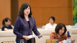 越南国会通过法律修正案 取消生育限制