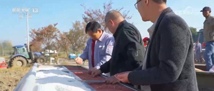 各地精准施策全力以赴高质量播种 “新技术+新设备”让秋冬种更“智慧”