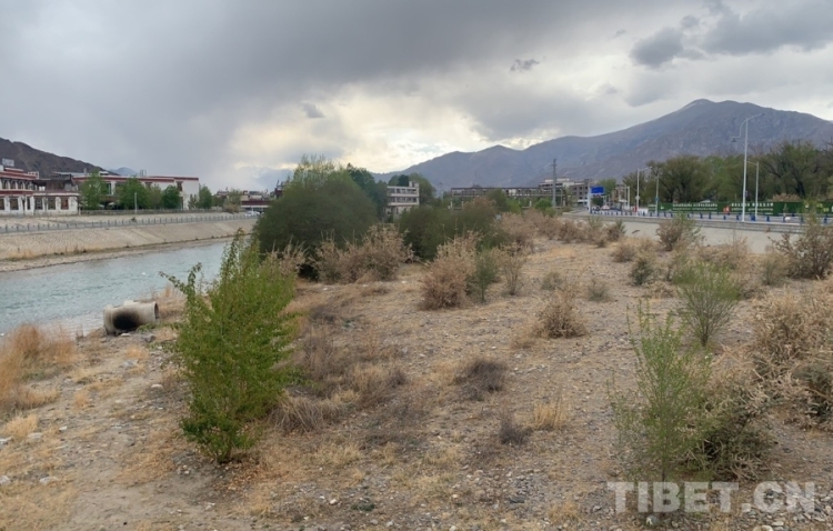 辉煌60年·我们的家园｜昔日荒滩变身美景 拉萨的诗意写在绿水青山间