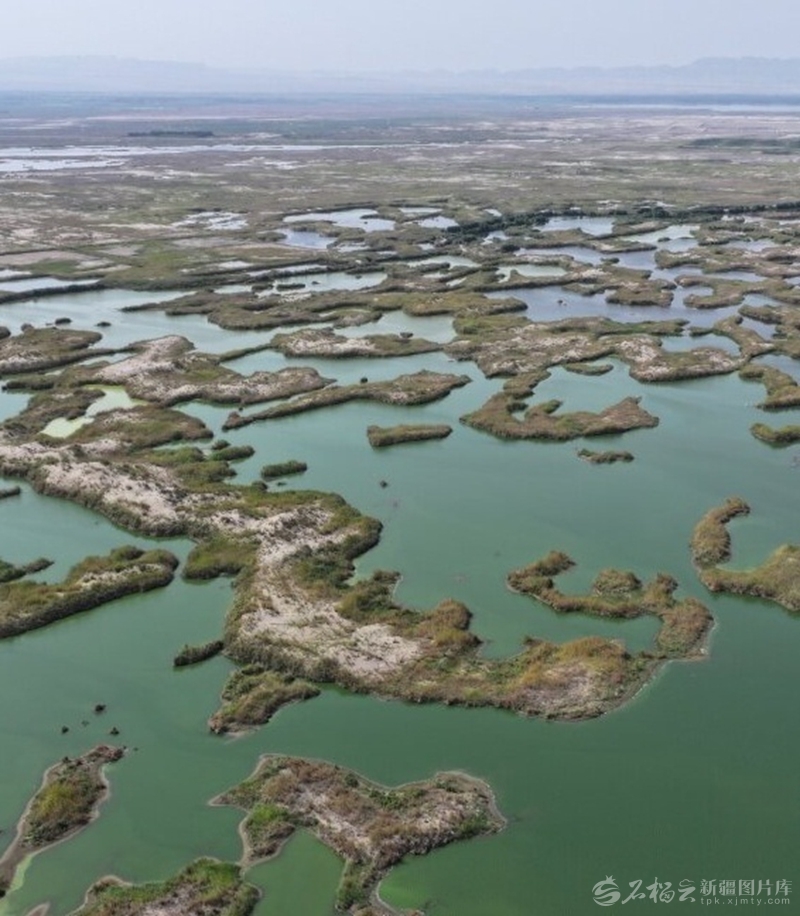 “两山”理念的新疆实践丨重塑大漠边界——塔克拉玛干沙漠边缘阻击战中的艾西曼样本