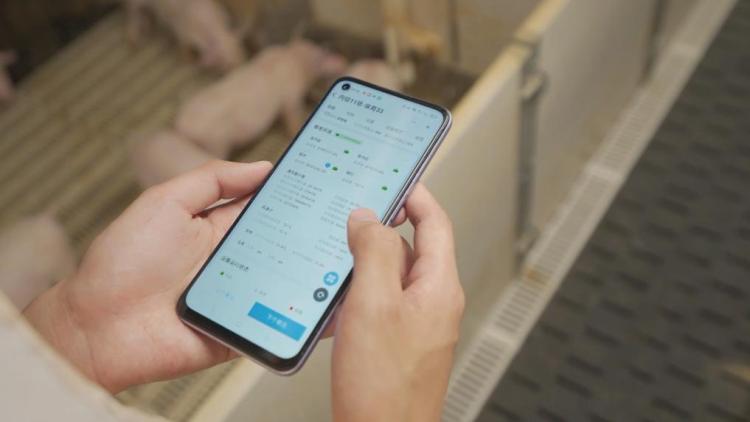 新华视点丨锻造新引擎：创新改革引领新质生产力发展