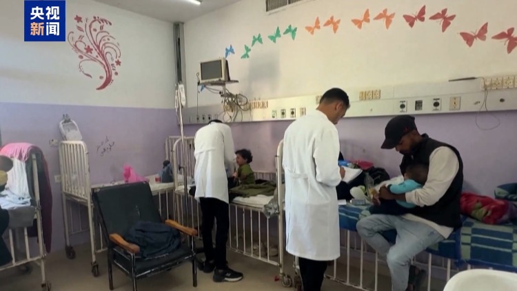 视频丨加沙难民营地暴发病虫鼠害 上百万民众苦不堪言