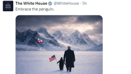 白宫发布特朗普与企鹅走向格陵兰岛AI图片