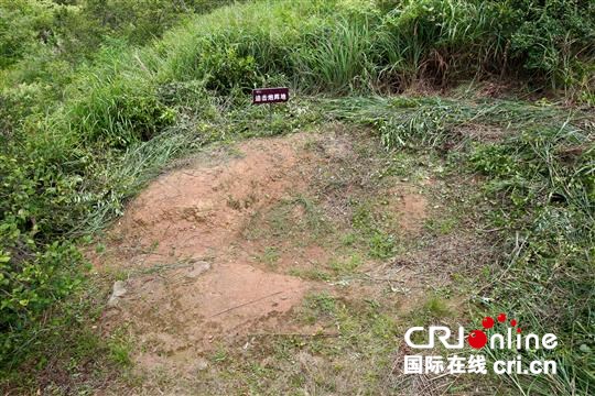 追寻抗战记忆｜影珠山：倭寇未曾留片甲，英魂驻此障长沙_fororder_04