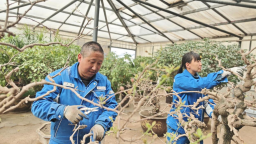 兰州石化：老厂焕新 “颜值”大增