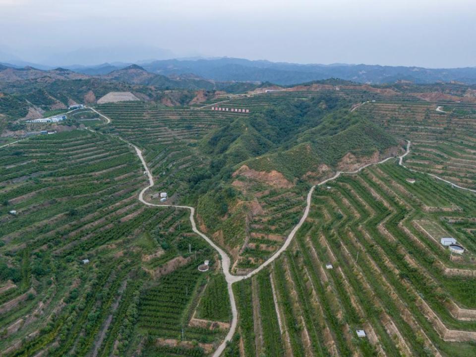 铭记历史 缅怀先烈丨山河回响