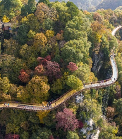 Shaohua's Autumn Splendor Enchants Visitors_fororder_5a01dc5705d94ab50417a889cde13b65