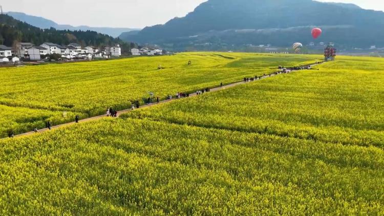 新华视点｜春日盛景赋能“花经济” 文旅融合焕发新活力