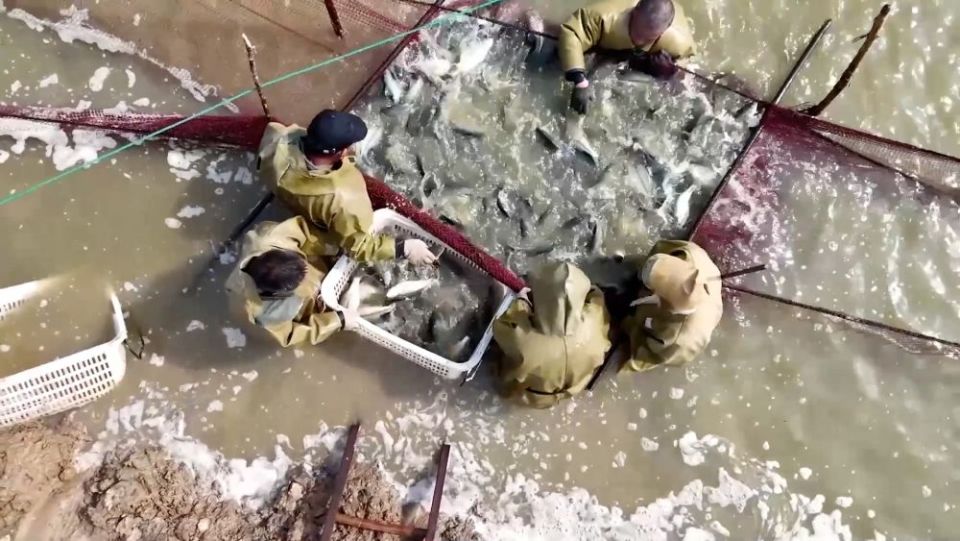 新华视点｜沃野金秋收获忙 共绘丰年好图景