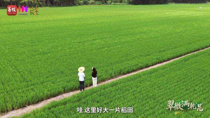 “县”在起笔 青绿绘江山 | 翠微满乾“昆”，繁华都市与生态绿意温柔相拥