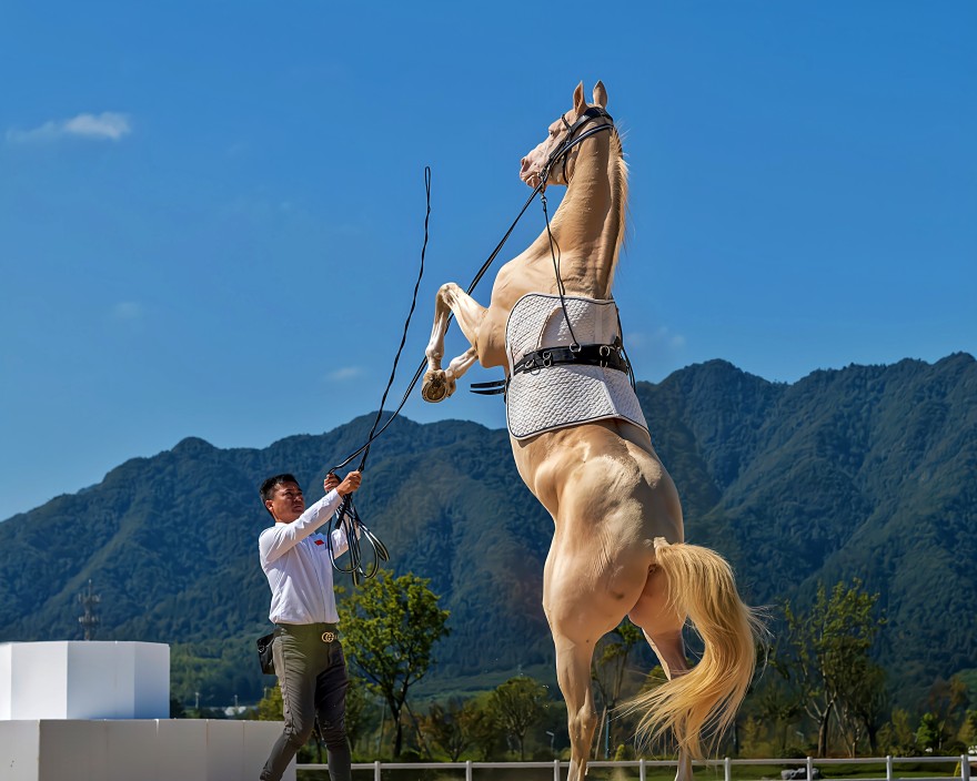 Tonglu Hosts 2026 "Spring in Tonglu: Joy Awaits" Tourism Promotion Event for Tour Operators Nationwide_fororder_桐庐马术乐园