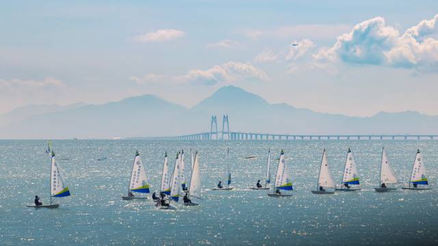 文化中国行·立冬 | 岭南立冬春意同，新梅万朵映晴空