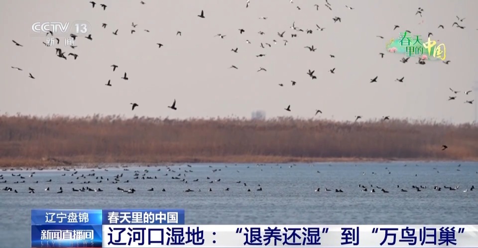 当现代农机遇上传统农业 “土豆”秒变“金豆”