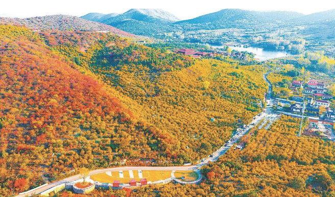 层林尽染_fororder_微信图片_20251104142813_473_9