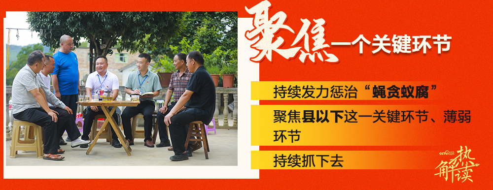 热解读|从中纪委公报中读懂反腐人民立场